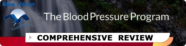 The Blood Pressure Program Review
