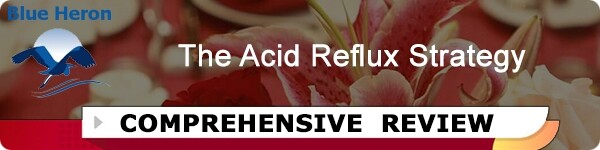 The Acid Reflux Strategy Review