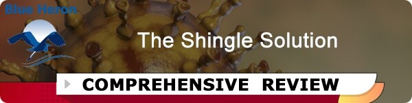 The Shingle Solution Review